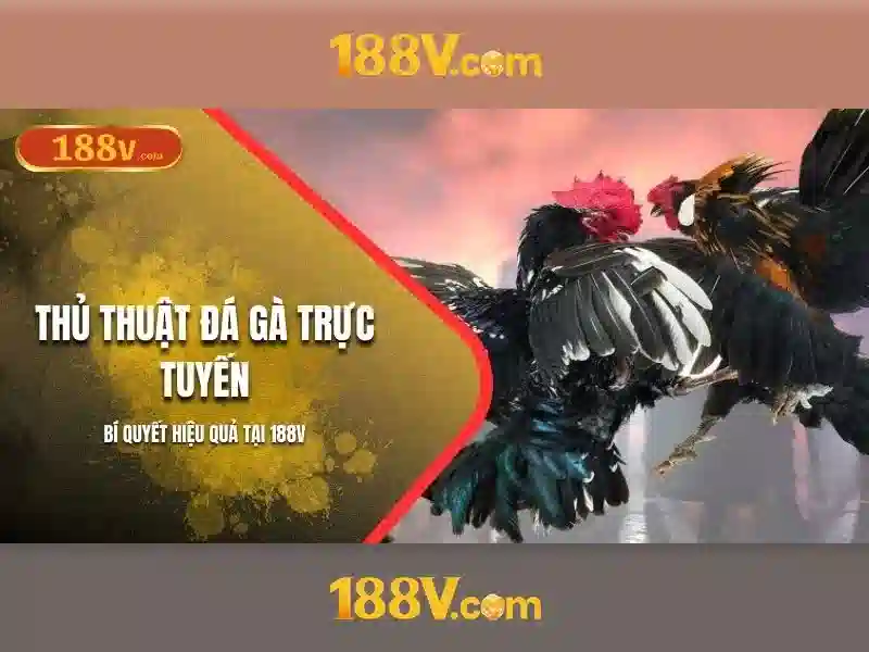 dịch vụ hỗ trợ 188V
