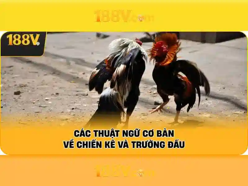 Quy Trình Đăng Ký Tài Khoản Slot 188V