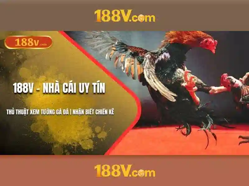 đăng ký 188V – Trải Nghiệm Slot Đỉnh Cao 2026