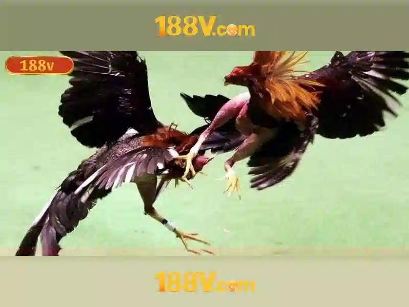 Slot hấp dẫn 188V
