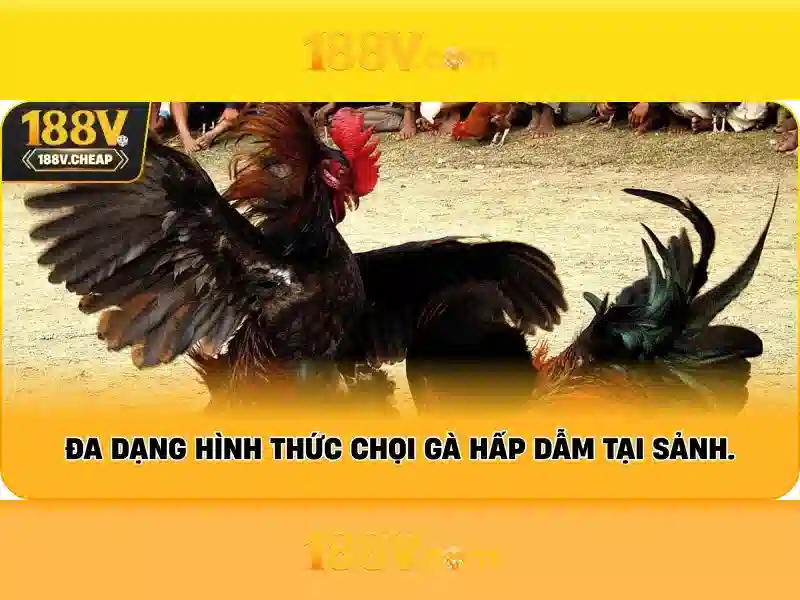 Tại Sao Nên Chọn App 188v
