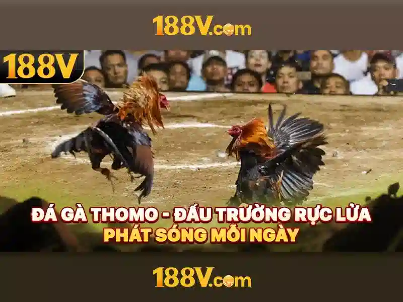 hỗ trợ 188v