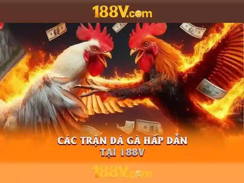 Trải Nghiệm Slot Đa Dạng