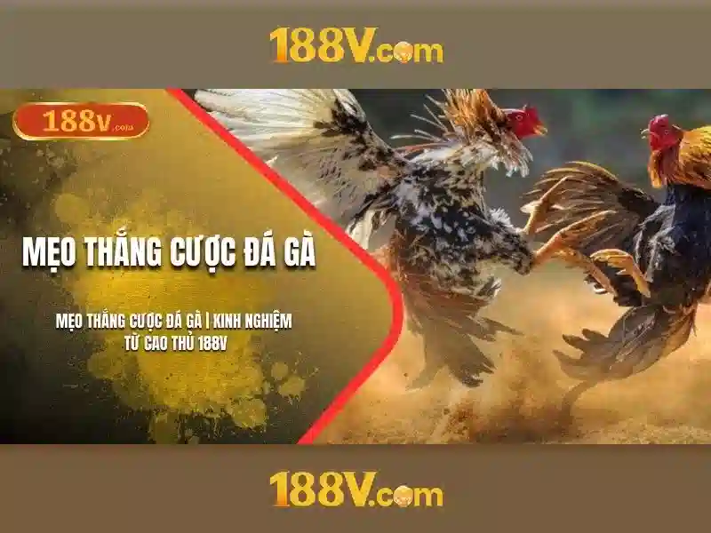 Giới Thiệu Về 188V