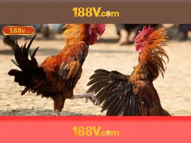 Trải Nghiệm Người Chơi