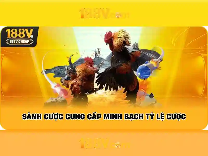trải nghiệm slot