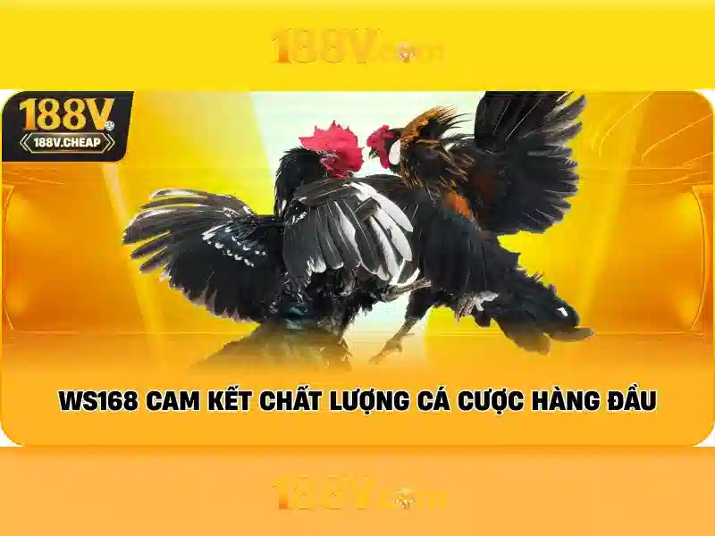 Đánh Giá 188V – Trải Nghiệm Slot Đỉnh Cao Tại 188V 2026