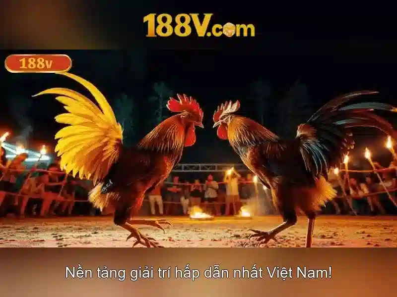 Lý Do Chọn 188V