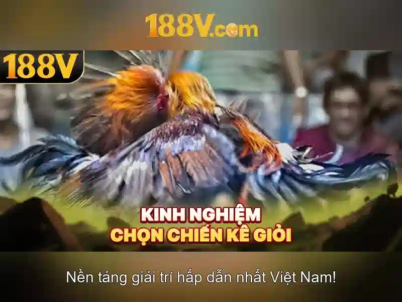 Đăng Ký 188V