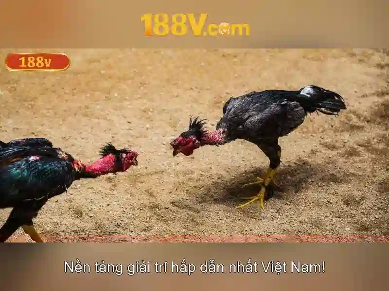 Quyền Lợi Khi Tham Gia Game Bài 188V