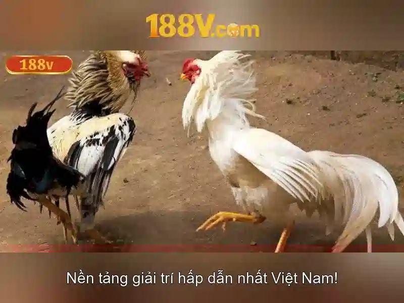 Ưu Đãi Slot