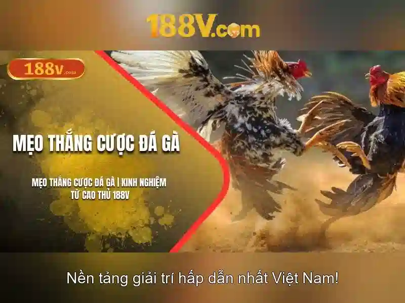 Ưu Điểm Của 188v Link