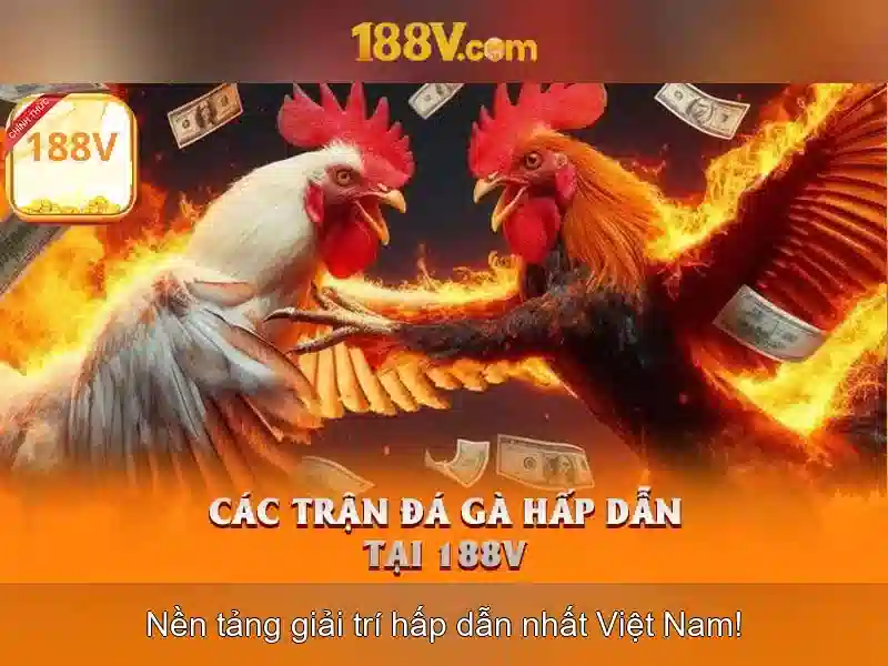Đa dạng tựa game Slot 188V chính thức IMGED --></p><h2><strong>Khuyến Mãi 188V Chính Thức</strong> – Nhận Thưởng Lớn Mỗi Ngày</h2><p>Đăng ký tài khoản tại <a href='https://burnsandross.com' title='188V'>https://burnsandross.com</a> để nhận ngay khuyến mãi chào mừng hấp dẫn. 188V chính thức thường xuyên triển khai các chương trình khuyến mãi như nạp tiền nhận quà, hoàn trả tiền cược, hoặc rút tiền nhanh chóng. Những chương trình này giúp người chơi tăng cơ hội chiến thắng và tận hưởng trải nghiệm tốt nhất.</p><h3>Chính Sách Bảo Mật 188V Chính Thức</h3><p>188V chính thức cam kết bảo vệ thông tin cá nhân của người chơi một cách tuyệt đối. Hệ thống bảo mật 2 lớp cùng công nghệ mã hóa hiện đại giúp ngăn chặn mọi rủi ro từ bên ngoài. Người chơi có thể yên tâm khi tham gia cá cược tại 188V mà không lo lắng về an toàn thông tin.</p><p class='body_img'></p><h2><strong>Khuyến Mãi 188V Chính Thức</strong> – Nhận Thưởng Lớn Mỗi Ngày</h2><p>Đăng ký tài khoản tại <a href='https://burnsandross.com' title='188V'>https://burnsandross.com</a> để nhận ngay khuyến mãi chào mừng hấp dẫn. 188V chính thức thường xuyên triển khai các chương trình khuyến mãi như nạp tiền nhận quà, hoàn trả tiền cược, hoặc rút tiền nhanh chóng. Những chương trình này giúp người chơi tăng cơ hội chiến thắng và tận hưởng trải nghiệm tốt nhất.</p><h3>Chính Sách Bảo Mật 188V Chính Thức</h3><p>188V chính thức cam kết bảo vệ thông tin cá nhân của người chơi một cách tuyệt đối. Hệ thống bảo mật 2 lớp cùng công nghệ mã hóa hiện đại giúp ngăn chặn mọi rủi ro từ bên ngoài. Người chơi có thể yên tâm khi tham gia cá cược <a href=