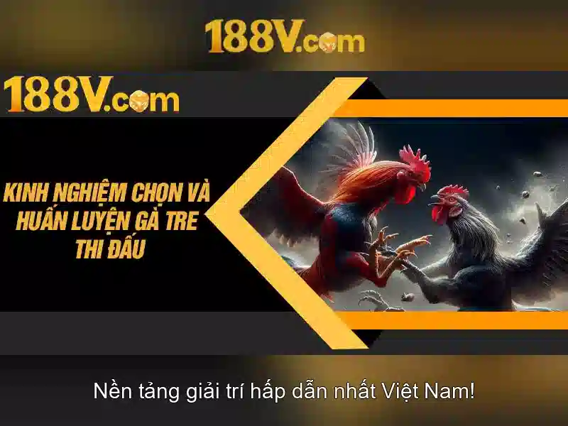 slot trực tiếp