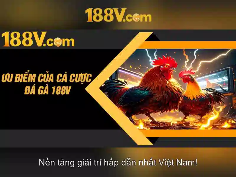 Casino 188V
