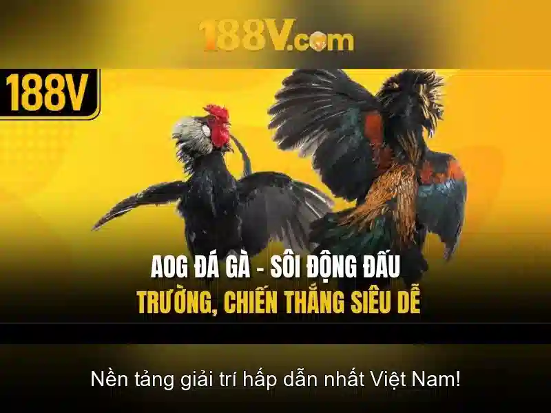 Tải 188V