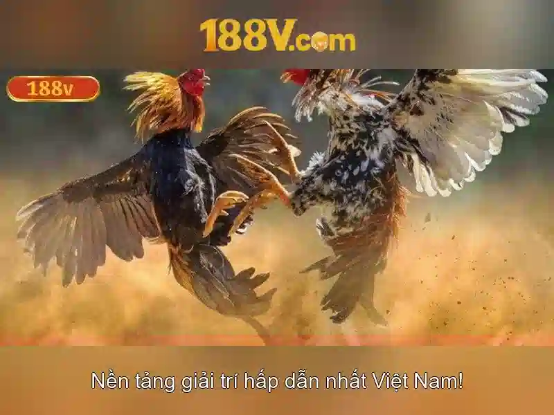 khuyến mãi