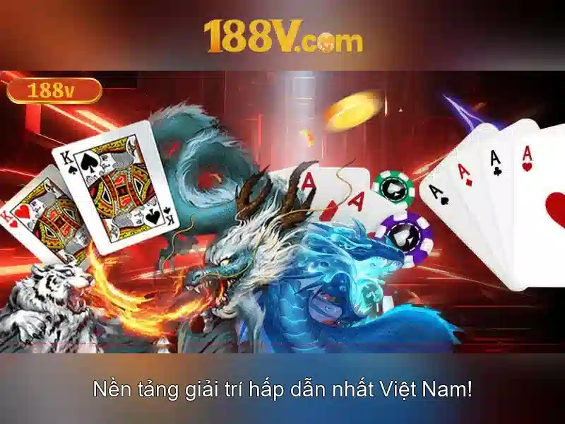 chính sách bảo mật 188v