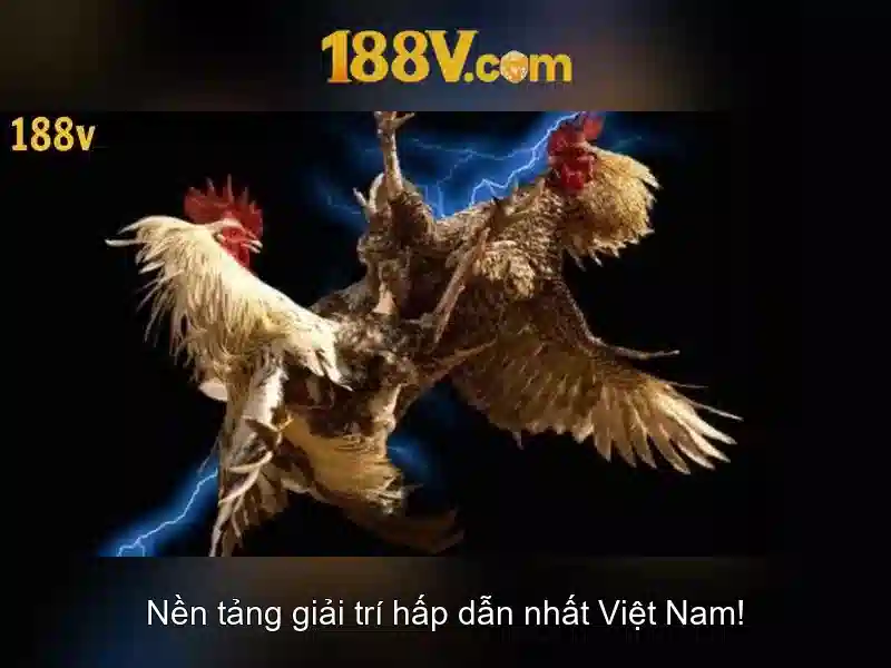 Tại Sao Nên Chọn 188V Cho Rút Thưởng Slot