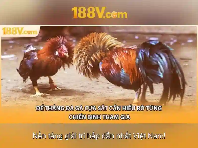 Đăng Nhập 188v