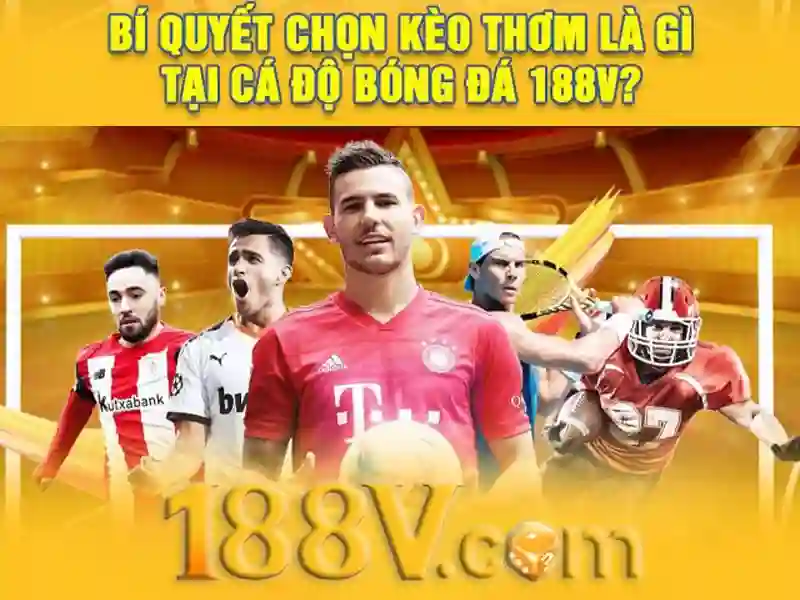 Hỗ trợ Slot 24/7