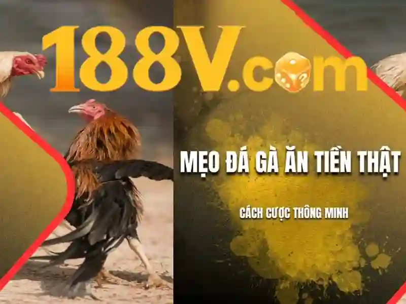 HỖ TRỢ 24/7